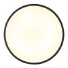 Lámparas Globo Lighting Nielsen Plafones LED Negro, 1 luz