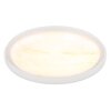 Lámparas Globo Lighting Tyrone Plafones LED Blanca, 1 luz