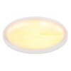 Lámparas Globo Lighting Tyrone Plafones LED Blanca, 1 luz