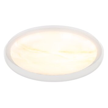 Lámparas Globo Lighting Tyrone Plafones LED Blanca, 1 luz Lámparas Globo Lighting Tyrone Plafones LED Blanca, 1 luz