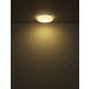 Lámparas Globo Lighting Lazaro Plafones LED Blanca, 1 luz