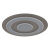 Lámparas Globo Lighting Jayden Plafones LED Antracita, 1 luz