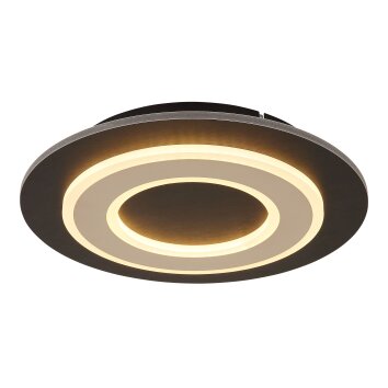 Lámparas Globo Lighting Jayden Plafones LED Negro, 1 luz
