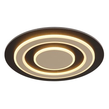 Lámparas Globo Lighting Jayden Plafones LED Negro, 1 luz