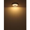 Lámparas Globo Lighting Jayden Plafones LED Antracita, 1 luz