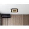 Lámparas Globo Lighting Jayden Plafones LED Negro, 1 luz