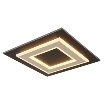 Lámparas Globo Lighting Jayden Plafones LED Negro, 1 luz