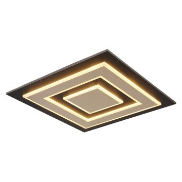Lámparas Globo Lighting Jayden Plafones LED Negro, 1 luz