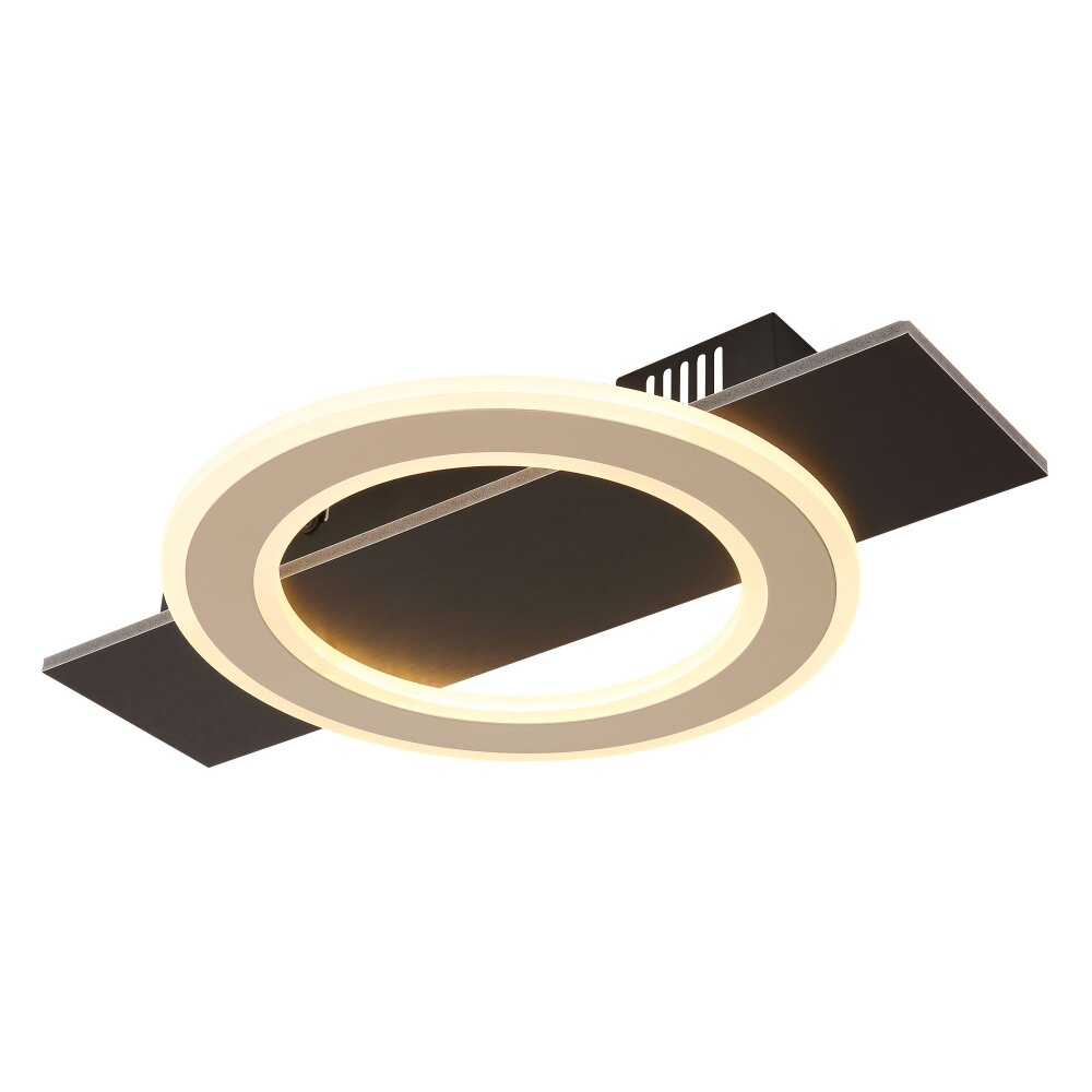 Lámparas Globo Lighting Jayden Plafones LED Negro, 1 luz main product photo