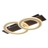 Lámparas Globo Lighting Jayden Plafones LED Negro, 1 luz