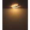 Lámparas Globo Lighting Jayden Plafones LED Negro, 1 luz