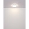 Lámparas Globo Lighting Flordelis Plafones LED Blanca, 1 luz