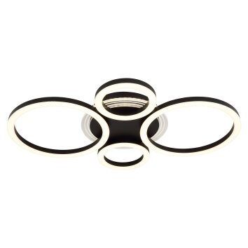Lámparas Globo Lighting Loretta Plafones LED Negro, 1 luz