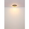 Lámparas Globo Lighting Hedi Plafones LED dorado, Negro, 1 luz