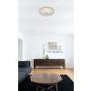 Lámparas Globo Lighting Heda Plafones LED Plata, 1 luz