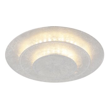 Lámparas Globo Lighting Heda Plafones LED Plata, 1 luz