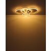 Lámparas Globo Lighting Lorelei Plafones LED champán, 1 luz