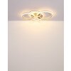 Lámparas Globo Lighting Lorelei Plafones LED champán, 1 luz