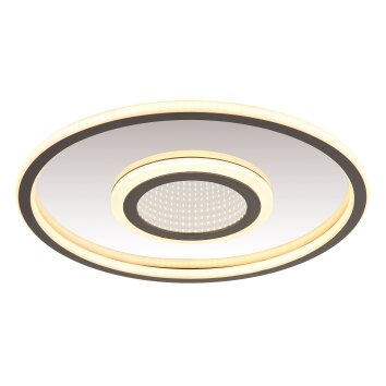 Lámparas Globo Lighting Cara Plafones LED Gris, Plata, 1 luz