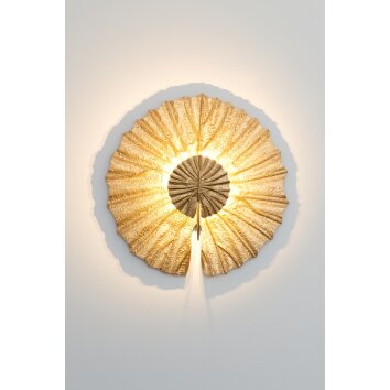 Holländer SESAM Lámpara de Techo LED dorado, 2 luces