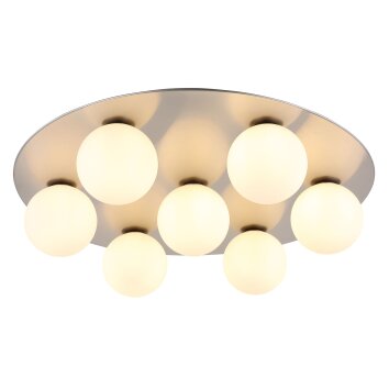 Lámparas Globo Lighting Riha Plafones Níquel-mate, 7 luces