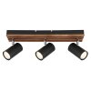 Lámparas Globo Lighting Kayden Plafones marrón oscuro, Negro, 3 luces