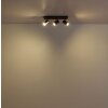 Lámparas Globo Lighting Kayden Plafones marrón oscuro, Negro, 3 luces