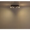 Lámparas Globo Lighting Kayden Plafones marrón oscuro, Negro, 4 luces