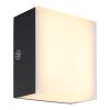 Lámparas Globo Lighting Sami Apliques LED Negro, 1 luz