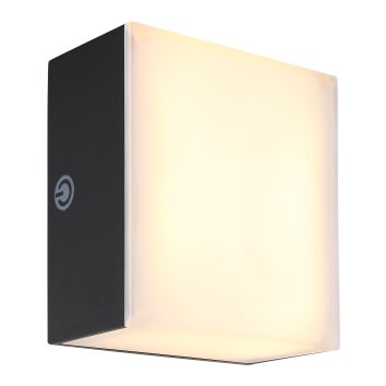 Lámparas Globo Lighting Sami Apliques LED Negro, 1 luz