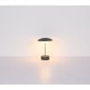 Lámparas Globo Lighting Tomo Lámparas de mesa LED Marrón, 1 luz