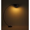 Lámparas Globo Lighting Robles Lámpara de pie LED Níquel-mate, 1 luz
