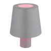 Lámparas Globo Lighting Yara Lámparas de mesa LED Gris, 1 luz, Cambia de color