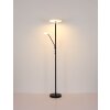 Lámparas Globo Lighting Stanford Plafones LED Negro, 1 luz
