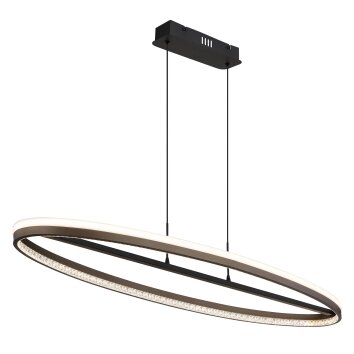 Lámparas Globo Lighting Della Lámparas suspendidas LED Negro, 1 luz