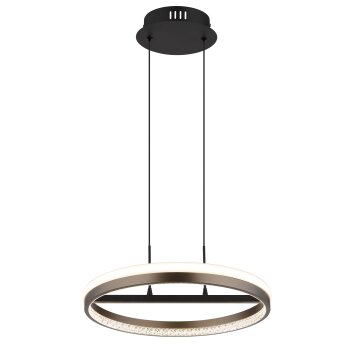 Lámparas Globo Lighting Della Lámparas suspendidas LED Negro, 1 luz