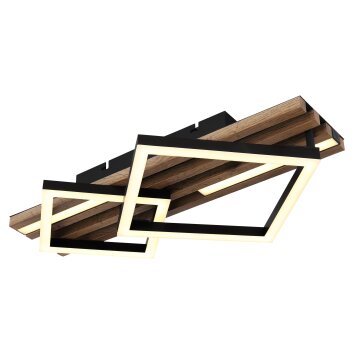 Lámparas Globo Lighting Obrien Plafones LED Crudo, Negro, 1 luz