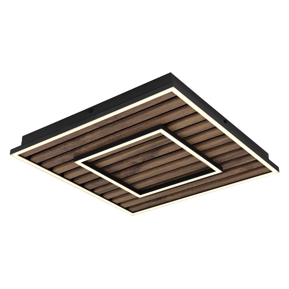 Lámparas Globo Lighting Woody Plafones LED Crudo, Negro, 1 luz main product photo