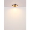 Lámparas Globo Lighting Woody Plafones LED Crudo, Negro, 1 luz