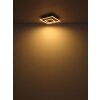 Lámparas Globo Lighting Woody Plafones LED Crudo, Negro, 1 luz