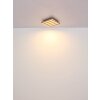 Lámparas Globo Lighting Hayden Plafones LED Crudo, Negro, 1 luz