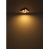 Lámparas Globo Lighting Hayden Plafones LED Crudo, Negro, 1 luz, Mando a distancia
