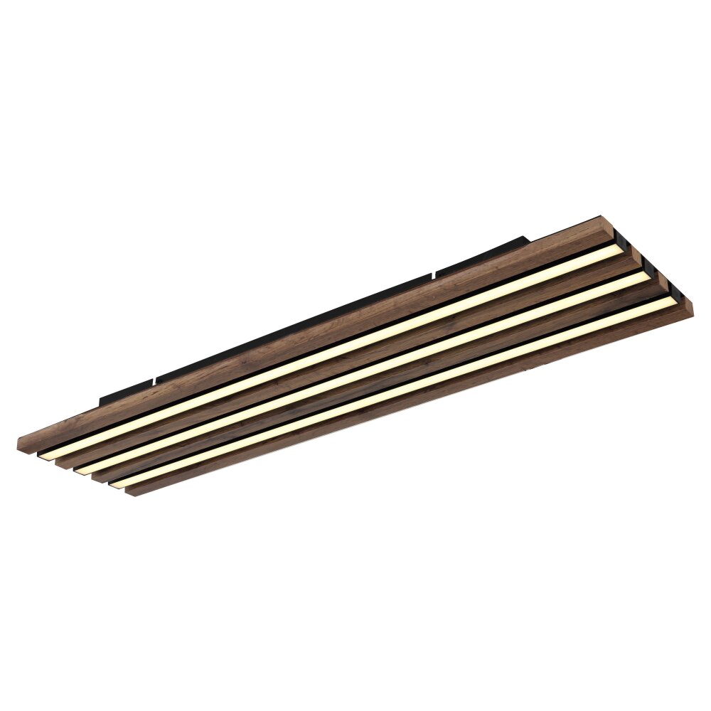 Lámparas Globo Lighting Hayden Plafones LED Crudo, Negro, 1 luz main product photo