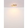Lámparas Globo Lighting Jeffry Plafones LED Crudo, Negro, 1 luz