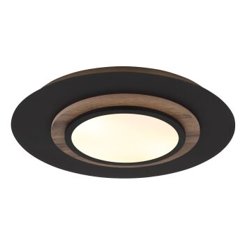 Lámparas Globo Lighting Kory Plafones LED Negro, 1 luz