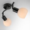Lámparas Leuchten Direkt LOKI Plafones LED Negro, 2 luces