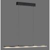 Lámparas Leuchten Direkt NELE Lámparas colgantes LED Negro, 1 luz