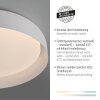 Lámparas Leuchten Direkt OSKO Plafones LED Blanca, 1 luz, Mando a distancia