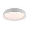 Lámparas Leuchten Direkt OSKO Plafones LED Blanca, 1 luz, Mando a distancia