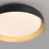 Lámparas Leuchten Direkt OSKO Plafones LED Negro, 1 luz, Mando a distancia